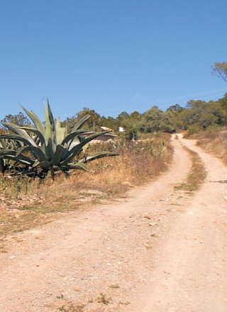 Caminos por donde don Eglón llevó el evangelio en el Estado de Puebla.
