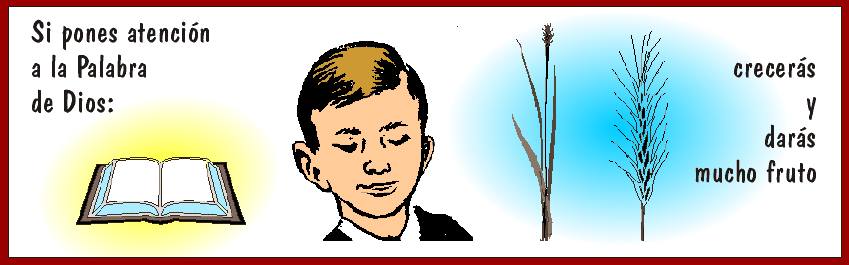 Si pones atención a la Palabra de Dios: crecerás y darás fruto