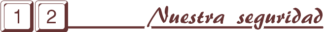Nuestra Seguridad