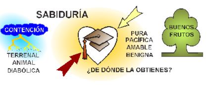 SABIDUR�A �DE D�NDE LA OBTIENES?