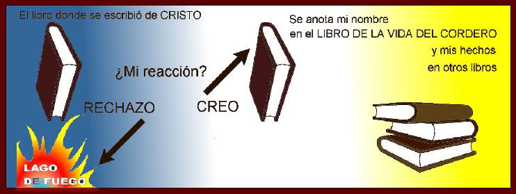 ¿Le creo al libro de Dios?
