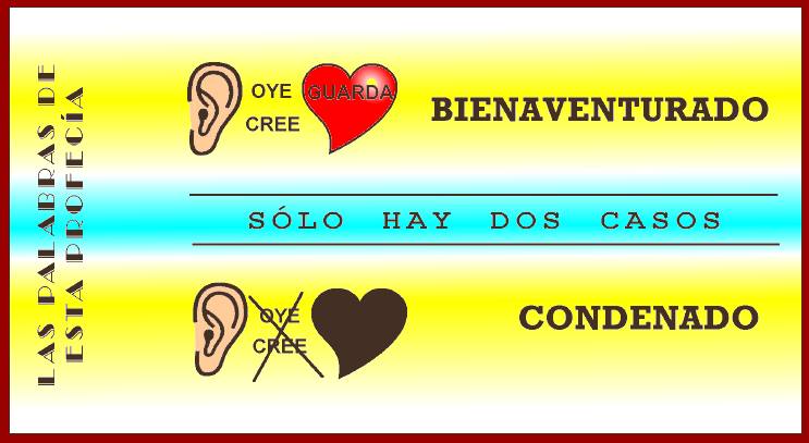 ¿De què grupo eres tú?