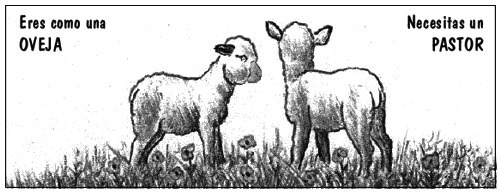 Eres como OVEJA... necesitas un PASTOR