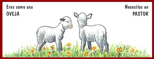 Eres como una oveja: necesitas un Pastor